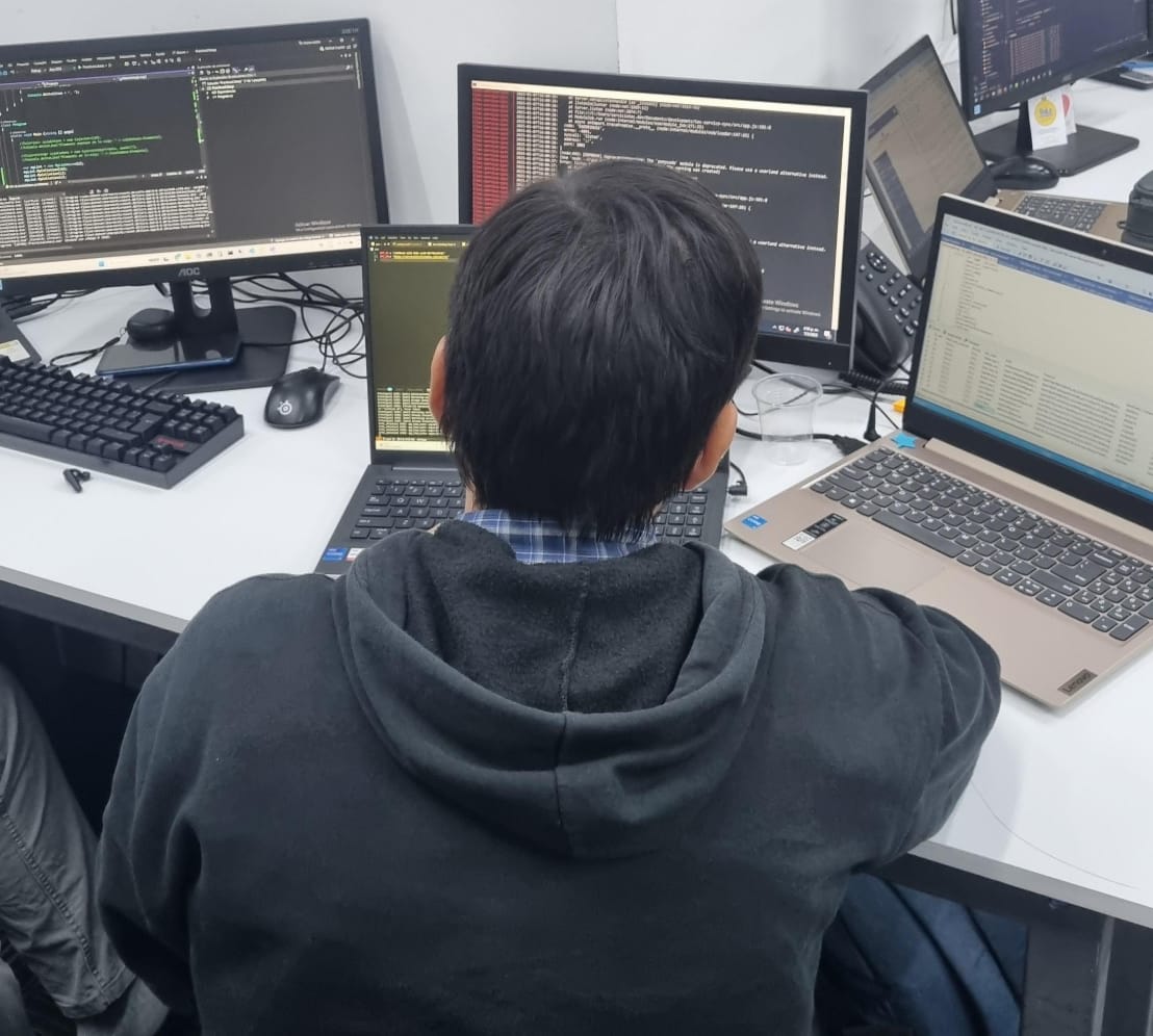 Full stacked developer